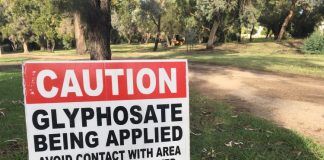 From fields to forests – the promise and perils of Roundup’s reign From fields to forests – the promise and perils of Roundup's reign