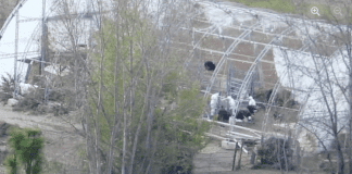 Cull to action – why an ostrich herd was eradicated and how government trust issues ballooned Cull to action – why an ostrich herd was eradicated and how government trust issues ballooned